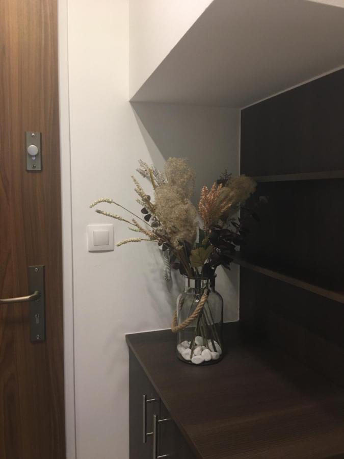 Home Apartment Шопрон Екстериор снимка